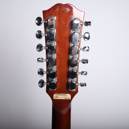 Vintage 1967 Epiphone 12-String Acoustic Guitar (Made in Japan)