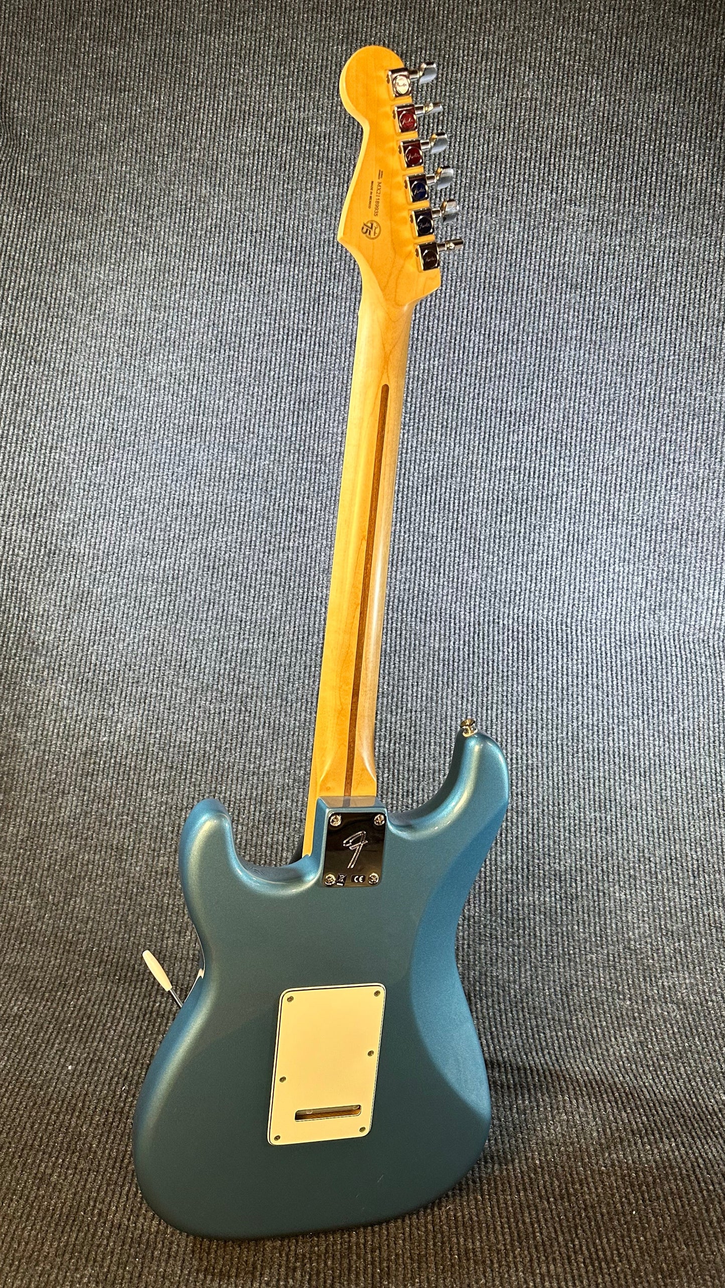 Fender Stratocaster Player